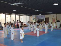 -陈中跆拳道(中关村馆)