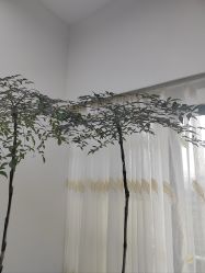 -HEYAN荷妍专业脱毛连锁机构