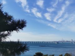 -星海湾跨海大桥