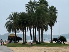 -柳湖沙月沙滩公园