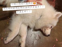 -沙坡尾艺术西区