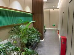 -通透堂中医·精准推拿(旗舰店)