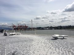 -飞跃加拿大