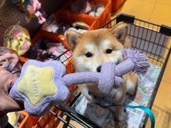 -MARSMART PETS火星宠物超市(1733店)