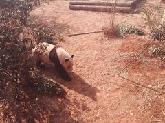 -济南野生动物世界