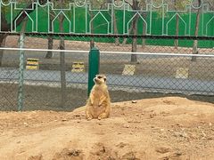 -秦皇岛野生动物园