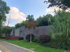 -菊花台公园