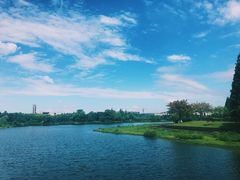 -四川大学(江安校区)