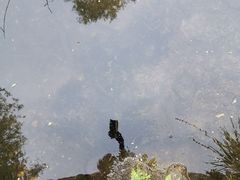 -碓臼峪自然风景区