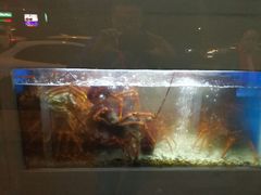 -福升海鲜洒楼