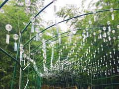 -陶祖圣境风景区