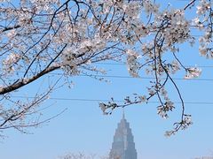 -西北湖绿化广场