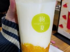 鲜芒椰汁牛乳-树夏(建设路店)