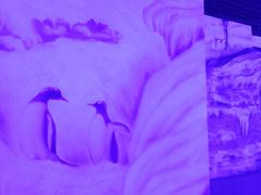 -福州罗源湾海洋世界旅游区