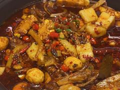 -蟹宗蟹(润达国际五楼店)