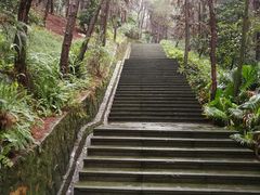 -铁山坪森林公园