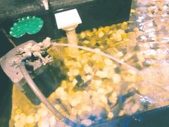 -碧露轩·大益茶体验馆(镇江路店)