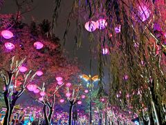 -大唐不夜城贞观广场