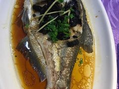 -茂港柏香(侨港路店)