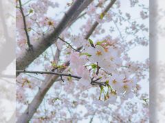 -龙美术馆(西岸馆)