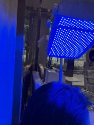 -碧莲盛·不剃发植发