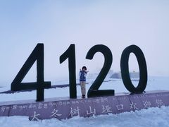 -大冬树山垭口