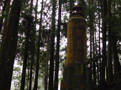 -阿里山神木遗迹