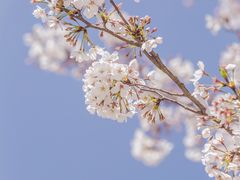 -白塘生态植物园