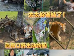 -西霞口神雕山野生动物世界