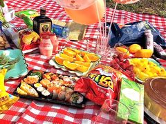 -大兴滨河森林公园