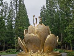 -东平国家森林公园