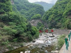 -陕西省红河谷森林公园