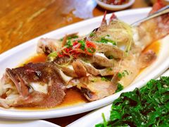 清蒸东星斑-南海渔家•海鲜•正宗海南菜(海棠湾店)