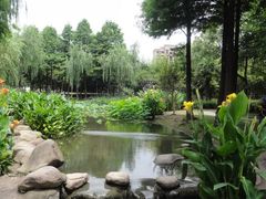 -陈家山荷花公园
