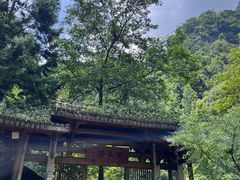 -刘伯温故里景区百丈漈