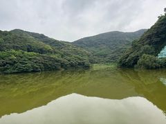 -黄埔油麻山森林公园