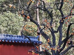 -大慈岩风景区