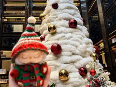 -行者书屋大堂吧 ·下午茶(南京圣和府邸酒店)