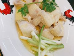 金牌盐水鸡-红星光发煲仔饭(大石街店)