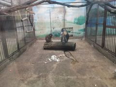 -昆明动物园