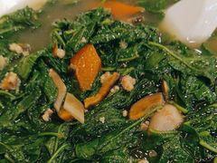 -清新鸡沙田乳鸽店(金融店)