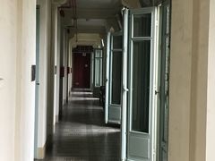 -胡志明市美术馆
