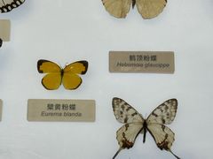 -中国湿地博物馆