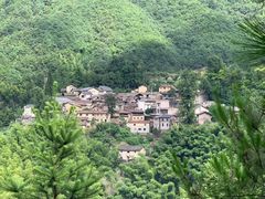 -杨家堂村