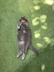 -EasyLady美甲沙龙