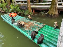 -星湖旅游景区七星岩