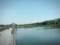 -溱湖国家湿地公园