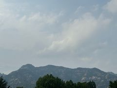 -黄金博物馆