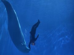 -多彩贵州城极地海洋世界