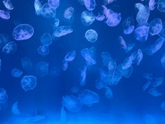 -多彩贵州城极地海洋世界